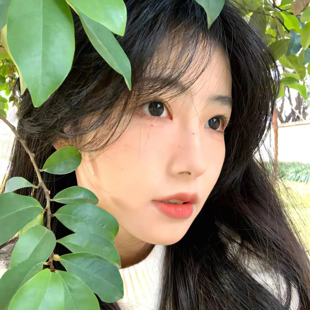 艳阳残梦