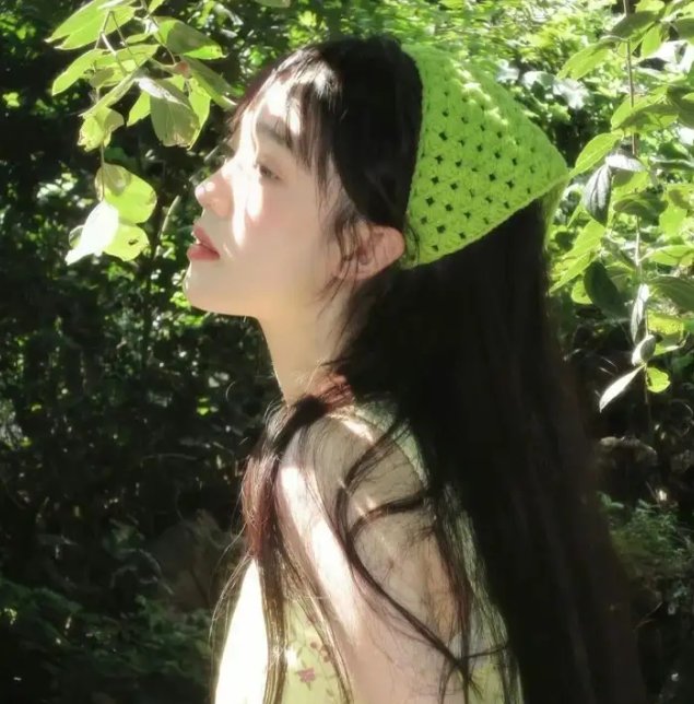 安妮回忆录